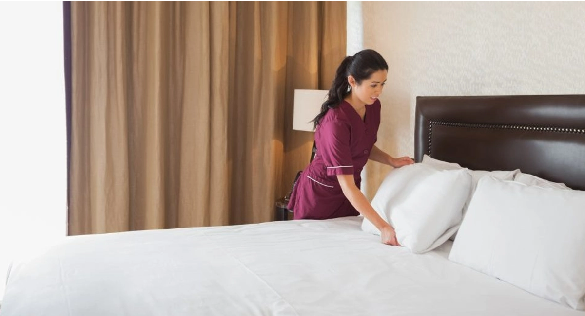 The Role of Cleanliness in Pest Control: Tips for Kuala Lumpur Hoteliers